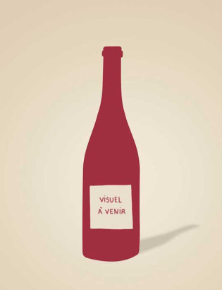 Hirschkaefer - AT Wein - Andreas Tscheppe