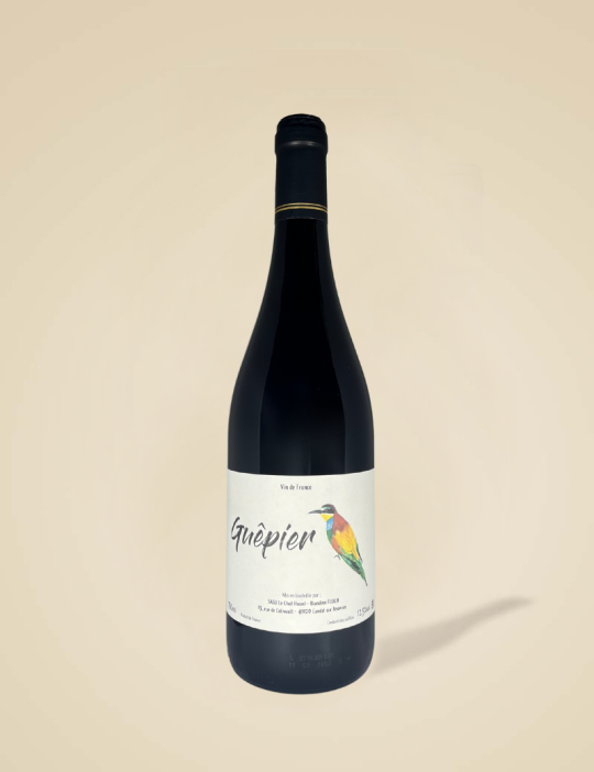 Guêpier - Domaine le Chat Huant