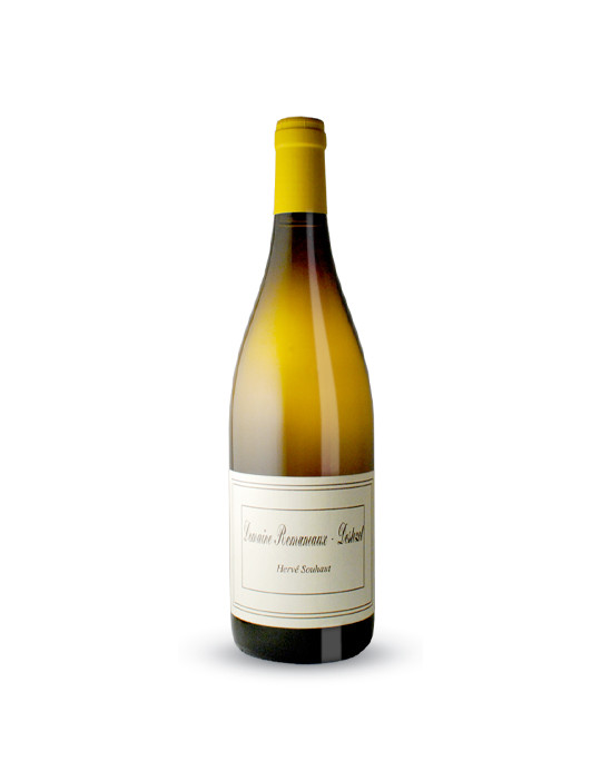 Romaneaux-Destezet - Domaine Hervé Souhaut