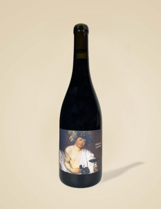 Une vie la nuit - Domaine Rouge Gorge