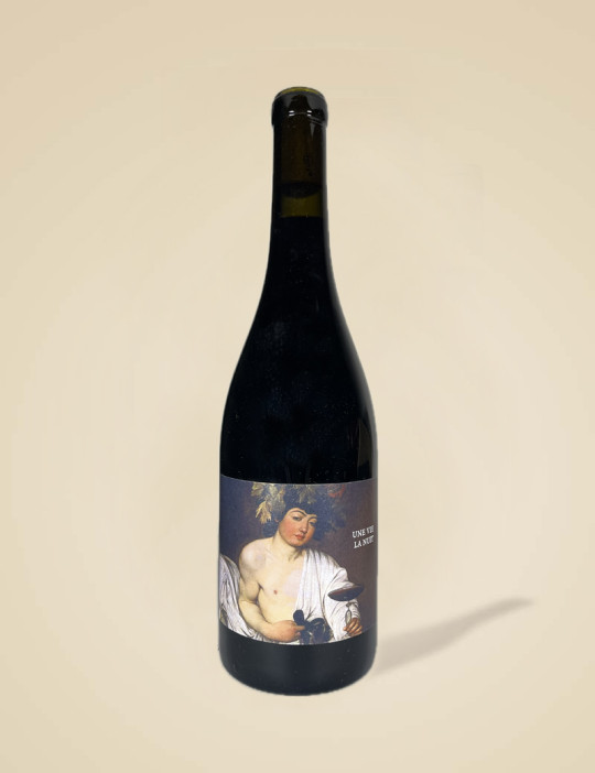 Une vie la nuit - Domaine Rouge Gorge