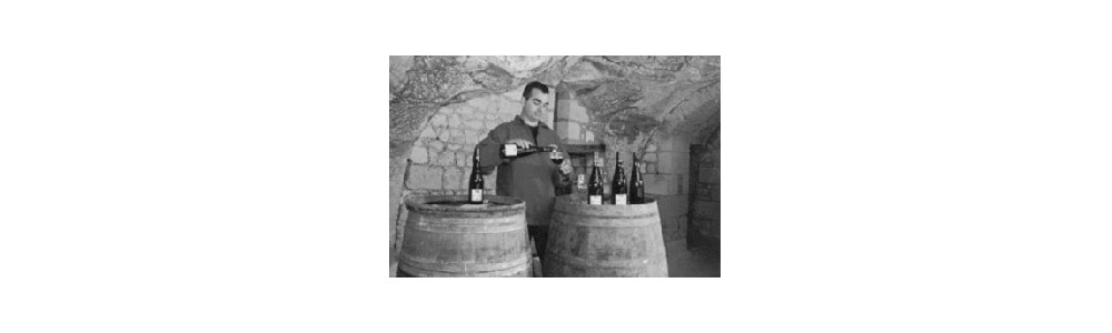 Domaine Bruno Dubois - Saumur Champigny - Bruno Dubois